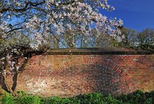 Frühlingstage im Oldenburger Schlossgarten. Foto: Hans-Jürgen Zietz