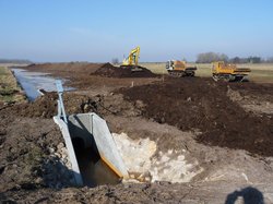 Landschaftspflegearbeiten. Foto: Stadt Oldenburg