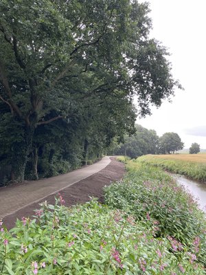 Mehr Hochwasserschutz für Bümmerstede und Kreyenbrück: Mitte Juli wurde der Fuß- und Radweg am Parkfriedhof erhöht. Foto: Stadt Oldenburg Mehr Hochwasserschutz für Bümmerstede und Kreyenbrück: Mitte Juli wurde der Fuß- und Radweg am Parkfriedhof erhöht. Foto: Stadt Oldenburg