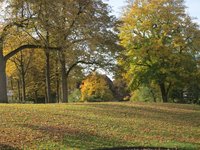 Herbstliche Wallanlagen. Foto: Werner Fuhlrott