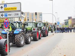 Treckerdemo 2019 in Oldenburg. Foto: Sascha Stüber