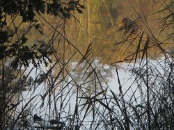 Ein wunderschöner See in Ofenerdiek lädt zu jeder Jahreszeit ein. Foto: Werner Fuhlrott 