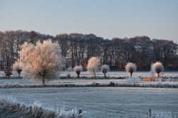 Wintermorgen in der Buschhagenniederung in Oldenburg. Foto: Hans-Jürgen Zietz 