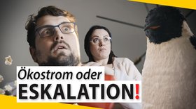 Foto Menschen und Pinguin; Text Ökostrom oder Eskalation. Quelle: tremoniamedia