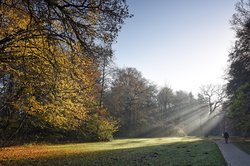 Leuchtende Herbstfärbung im Eversten Holz in Oldenburg. Foto: Hans-Jürgen Zietz