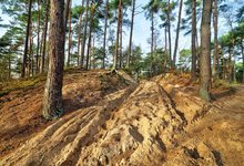 Sandkasten im XXL-Format: Der Truppenübungsplatz Oldenburg-Bümmerstede. Foto: Hans-Jürgen Zietz