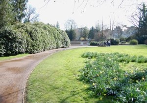 Weg durch den Schlossgarten. Foto: Stadt Oldenburg Weg durch den Schlossgarten. Foto: Stadt Oldenburg