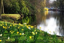 Frühlingstage im Oldenburger Schlossgarten. Foto: Hans-Jürgen Zietz