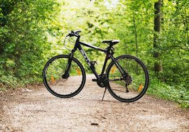 Fahrrad im Wald. Foto: Philipp M./Pexels