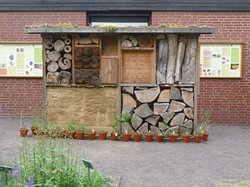 Stechimmenwand im Botanischen Garten. Foto: Stadt Oldenburg