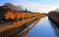 Gold und Blau - Leuchtende Herbstfarben an Oldenburgs Gewässern. Foto: Hans-Jürgen Zietz