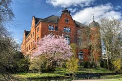 Bunte Blüten im Oldenburger Schlossgarten. Foto: Hans-Jürgen Zietz