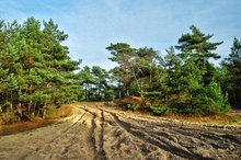 Sandkasten im XXL-Format: Der Truppenübungsplatz Oldenburg-Bümmerstede. Foto: Hans-Jürgen Zietz