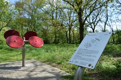 Ein Fitnessgerät mit Schautafel für Übungsanleitungen am Swarte-Moor-See. Foto: Stadt Oldenburg