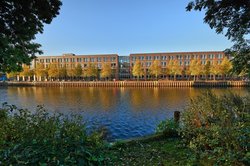 Linden in Herbstfärbung am Oldenburger Stadthafen. Foto: Hans-Jürgen Zietz 