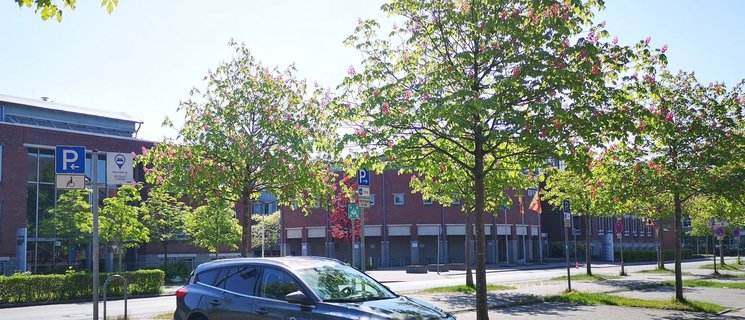 Carsharing Station eines Anbieters im Escherweg. Foto: Stadt Oldenburg