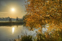 Herbstbunte Bäume an Hunte und Küstenkanal in Oldenburg. Foto: Hans-Jürgen Zietz