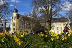 Bunte Blüten im Oldenburger Schlossgarten. Foto: Hans-Jürgen Zietz