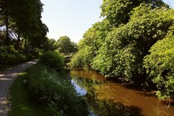 Natur in der Großstadt - Flusslauf. Foto: Andreas Paul Kaklewski