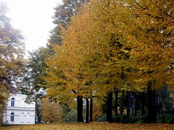 Es herbstet sehr. Foto: Werner Fuhlrott  