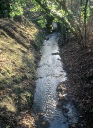 Ein Beispiel für einen guten, unverbauten Graben. Foto: Stadt Oldenburg