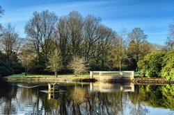 Vorfrühling im Oldenburger Schlossgarten. Foto: Hans-Jürgen Zietz