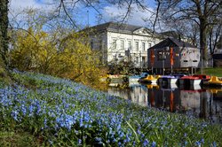 Bunte Blüten im Oldenburger Schlossgarten. Foto: Hans-Jürgen Zietz