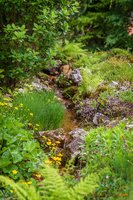 Bach im Botanischen Garten. Foto: Roland Nappe