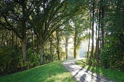 Weg auf dem Huntedeich in Kreyenbrück. Foto: Hans-Jürgen Zietz