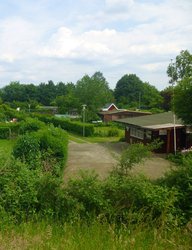 Blick in eine Kleingartenanlage. Foto: Stadt Oldenburg