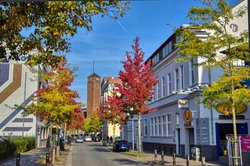 Stadtbäume in bunten Herbstfarben in Oldenburg. Foto: Hans-Jügen Zietz Stadtbäume in bunten Herbstfarben in Oldenburg. Foto: Hans-Jügen Zietz