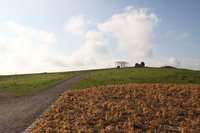 Blick auf Pflanzen und Wiesen auf dem Utkiek. Foto: Stadt Oldenburg