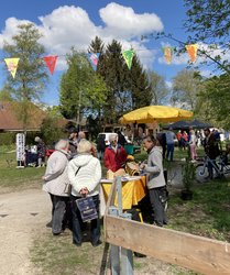 Infostand zu Wildbienen. Foto: Stadt Oldenburg