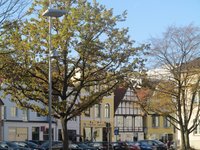 Straße am Schlossplatz. Foto:Werner Fuhltrott