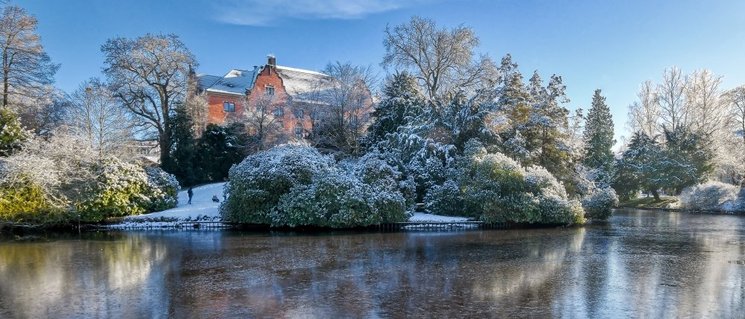 Der Oldenburger Schlossgarten im Winterkleid. Foto: Hans-Jürgen Zietz