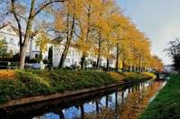 Haaren an der Ofener Straße. Foto: Hans-Jürgen Zietz