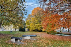 Bäume in Herbstfärbung in der Oldenburger Innenstadt. Foto: Hans-Jürgen Zietz Bäume in Herbstfärbung in der Oldenburger Innenstadt. Foto: Hans-Jürgen Zietz