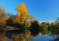 Gold und Blau - Leuchtende Herbstfarben an Oldenburgs Gewässern. Foto: Hans-Jürgen Zietz