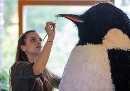 Das Pinguin-Kostüm beim letzten Feinschliff durch die Visagistin. Foto: tremoniamedia Filmproduktion GmbH 