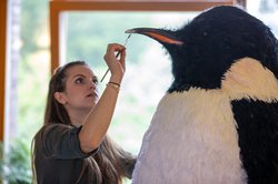 Das Pinguin-Kostüm beim letzten Feinschliff durch die Visagistin. Foto: tremoniamedia Filmproduktion GmbH 