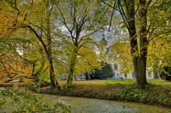 Bäume in Herbstfärbung in der Oldenburger Innenstadt. Foto: Hans-Jürgen Zietz Bäume in Herbstfärbung in der Oldenburger Innenstadt. Foto: Hans-Jürgen Zietz