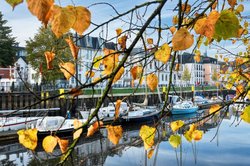 Herbstliche Ansichten aus Oldenburg. Foto: Hans-Jürgen Zietz