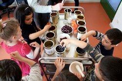 Kita-Kinder mit Färberpflanzen. Foto: Oldenburger Kunstschule.