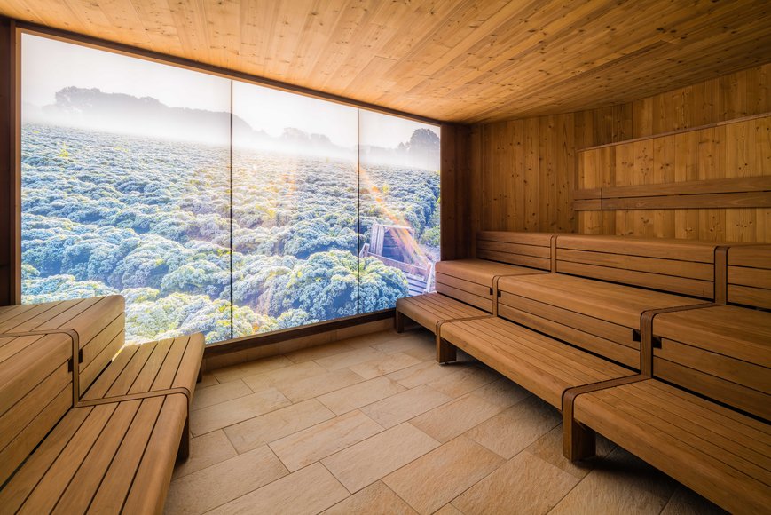 Blick in die Grünkohl-Bio-Sauna. Foto: OLantis Huntebad