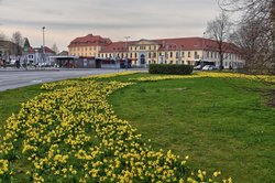 Frühlingsabend am Pferdemarkt. Foto: Hans-Jürgen Zietz