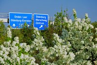 Frühlingsblüten an der Autobahn. Foto: Hans-Jürgen Zietz