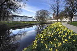 Frühlingsblüten in den Oldenburger Wallanlagen. Foto: Hans-Jürgen Zietz