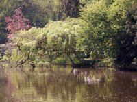 Impressionen vom Schlossgarten