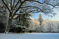 Winter im Eversten Holz