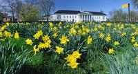 Blick auf Teile  &#8209; Frühling in den Oldenburger Wallanlagen II